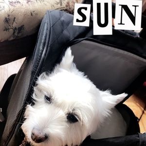 Meet your Posher, Victoria